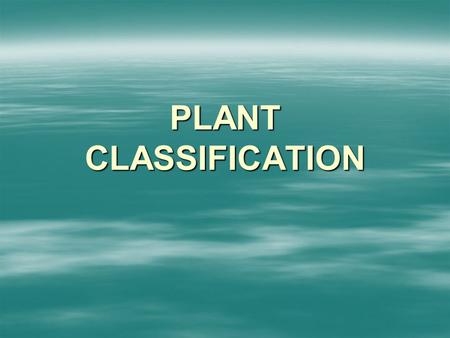 PLANT CLASSIFICATION. PLANT KINGDOM THERE ARE 4 GROUPS PLANTS WHICH MAKE SPORES  Mosses and liverworts  Ferns PLANTS WHICH MAKE SEEDS  Conifers  Flowering.