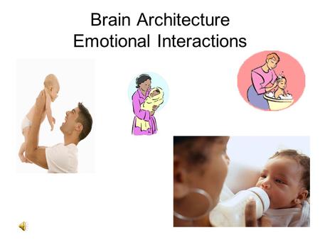 Brain Architecture Emotional Interactions Brain Architecture Learning Interactions.