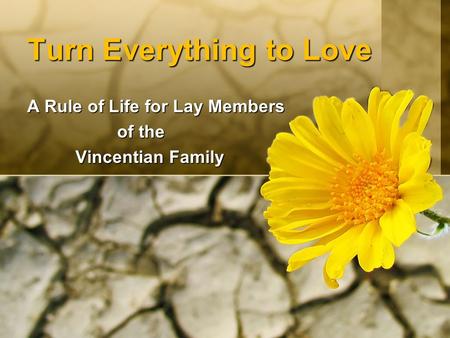 Turn Everything to Love A Rule of Life for Lay Members of the Vincentian Family Vincentian Family.