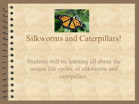 Silkworms and Caterpillars! Students will be learning all about the unique life cycles of silkworms and caterpillars.