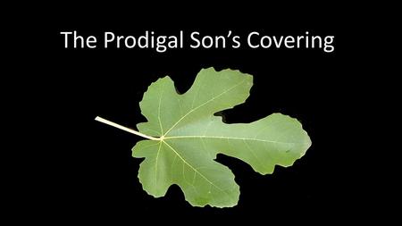 The Prodigal Son’s Covering. Luk 15:11 And he said, A certain man had two sons: 12 And the younger of them said to his father, Father, give me the portion.