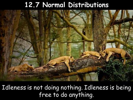 12.7 Normal Distributions Idleness is not doing nothing. Idleness is being free to do anything.