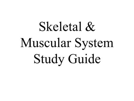 Skeletal & Muscular System Study Guide 1. What is the highest level of organization in the body? Organism.