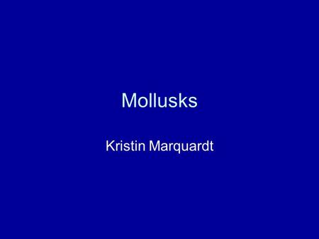 Mollusks Kristin Marquardt. What is a Mollusk? A mollusk is a soft bodied animal of the phylum Mollusca, having an unsegmented body Mollusks: –Lack skeletons.