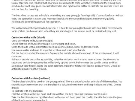 Lecture 6 Castration of animals Castration of pigs Castration, or the removal of the testicles, is carried out on the male pig which is not needed for.