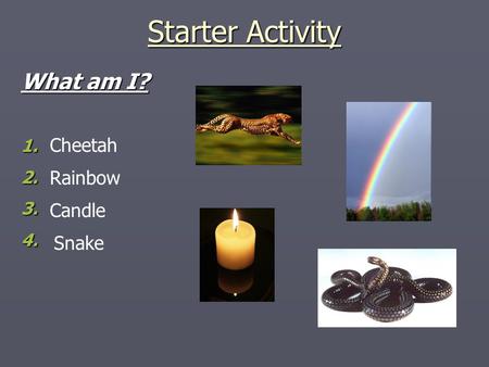 Starter Activity What am I? 1. 1. 2. 2. 3. 3. 4. 4. Cheetah Rainbow Candle Snake.