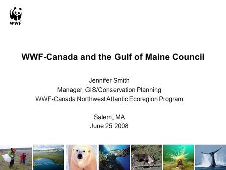 WWF-Canada and the Gulf of Maine Council Jennifer Smith Manager, GIS/Conservation Planning WWF-Canada Northwest Atlantic Ecoregion Program Salem, MA June.