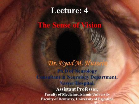 1 Lecture: 4 The Sense of Vision Dr. Eyad M. Hussein Ph.D of Neurology Consultant in Neurology Department, Nasser Hospital, Assistant Professor, Faculty.