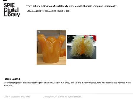 Date of download: 9/20/2016 Copyright © 2016 SPIE. All rights reserved. (a) Photographs of the anthropomorphic phantom used in this study and (b) the inner.