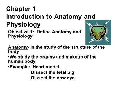 Chapter 1 Introduction to Anatomy and Physiology Objective 1: Define Anatomy and Physiology Anatomy- is the study of the structure of the body We study.