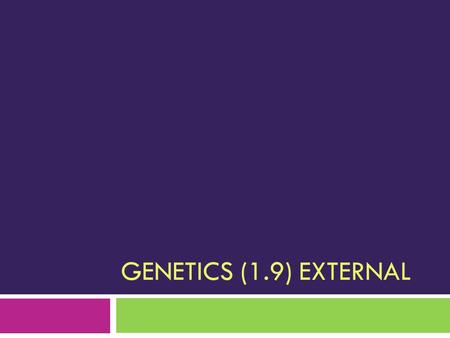 GENETICS (1.9) EXTERNAL. Intro  Genetics – study of inheritance. How genetic information is transferred from one generation to the next.