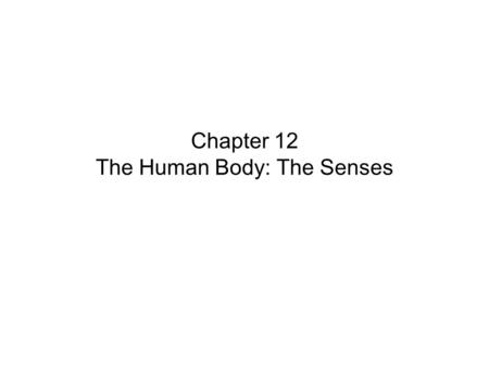 Chapter 12 The Human Body: The Senses. Key Concepts The Senses – –Seeing (vision) – –Smelling –Feeling (touch) Senses used to _____________information.