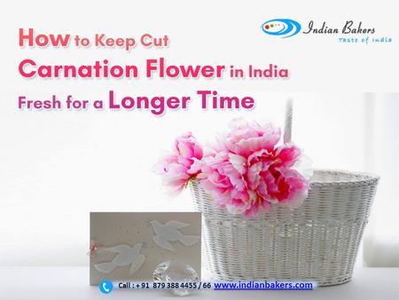 How to keep cut carnation flower in India fresh for a longer time? Carnation Flowers Delivery