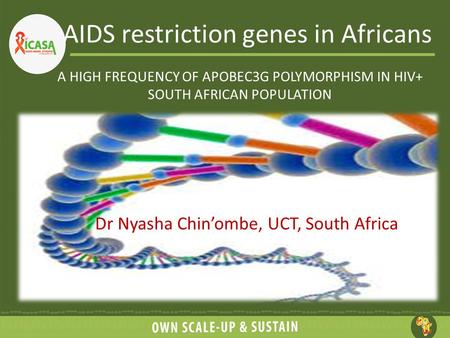 A HIGH FREQUENCY OF APOBEC3G POLYMORPHISM IN HIV+ SOUTH AFRICAN POPULATION Dr Nyasha Chin’ombe, UCT, South Africa AIDS restriction genes in Africans.