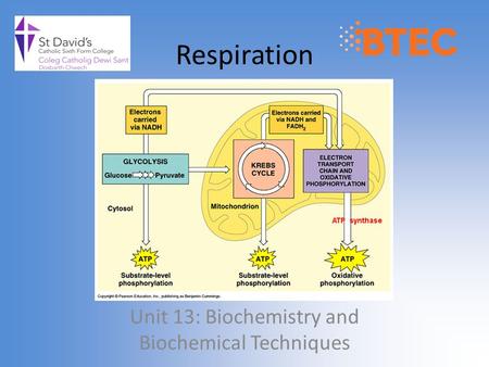 Unit 13: Biochemistry and Biochemical Techniques