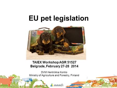 EU pet legislation TAIEX Workshop AGR Belgrade, February DVM Hentriikka Kontio Ministry of Agriculture and Forestry, Finland.