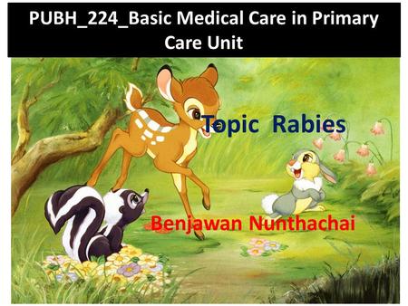 PUBH_224_Basic Medical Care in Primary Care Unit Topic Rabies Benjawan Nunthachai.