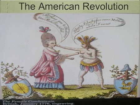 The American Revolution. Presentation Overview Colonial Advantages British Advantages Colonial & British Disadvantages Decisive Colonial victories Results.