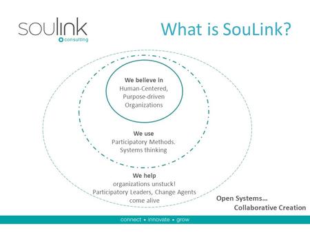 What is SouLink? We believe in Human-Centered, Purpose-driven Organizations We use Participatory Methods. Systems thinking We help organizations unstuck!