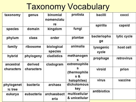 Taxonomy Vocabulary taxonomygenus binomial nomenclatu re protista speciesdomainkingdom fungi phylumclassorder plantae familyribosome biological species.