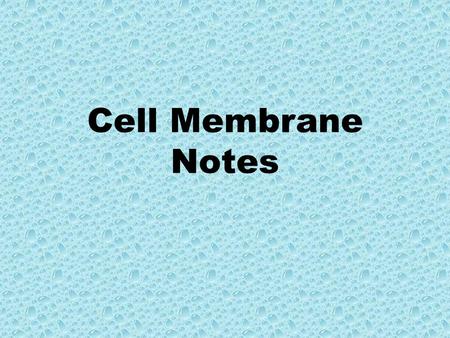 Cell Membrane Notes. Cell Membrane - Plasma Membrane – Phospholipid Bilayer.