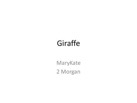 Giraffe MaryKate 2 Morgan. Appearance- Body Giraffes have spots. Giraffes have long necks. Giraffes have small heads. Giraffes have only have seven neck.