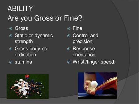 ABILITY Are you Gross or Fine?  Gross  Static or dynamic strength  Gross body co- ordination  stamina  Fine  Control and precision  Response orientation.