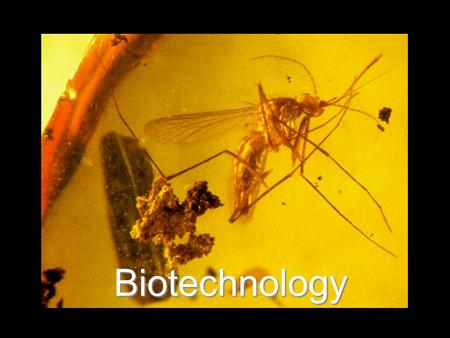 Biotechnology. Biotechnology The manipulation of biological processes or organisms to achieve a goal.