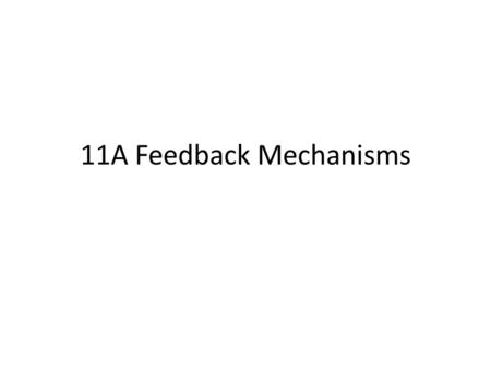 11A Feedback Mechanisms. Homeostasis The relatively constant internal physical and chemical conditions maintained by an organism despite changes that.