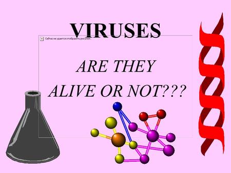 VIRUSES ARE THEY ALIVE OR NOT??? STRUCTURE OF A BACTERIOPHAGE (A VIRUS THAT INFECTS BACTERIA) HEAD PROTEIN COAT GENETIC MATERIAL TAIL NECK BODY TAIL.