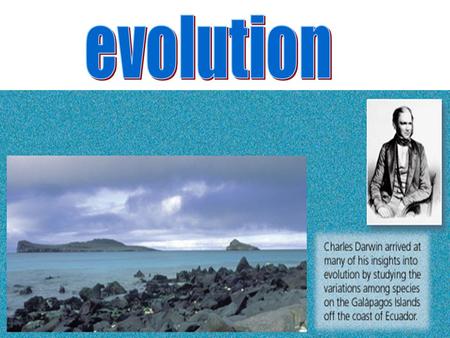 Biological Evolution concerns changes in living things during the history of life on Earth. Explains that living things share common ancestors. Over.