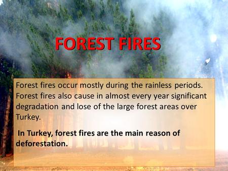 FOREST FIRES FOREST FIRES Forest fires occur mostly during the rainless periods. Forest fires also cause in almost every year significant degradation and.