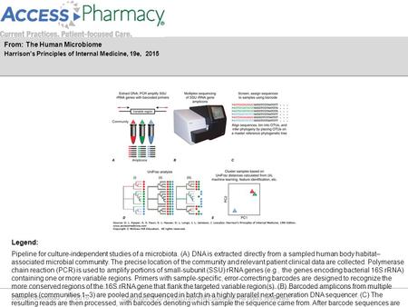 Date of download: 7/7/2016 Copyright © 2016 McGraw-Hill Education. All rights reserved. Pipeline for culture-independent studies of a microbiota. (A) DNA.