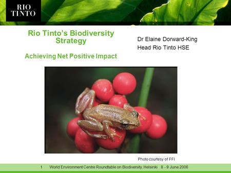 1World Environment Centre Roundtable on Biodiversity, Helsinki June 2006 Rio Tinto’s Biodiversity Strategy Achieving Net Positive Impact Dr Elaine.