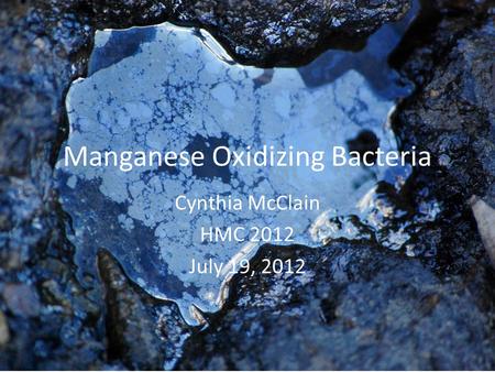 Manganese Oxidizing Bacteria Cynthia McClain HMC 2012 July 19, 2012.