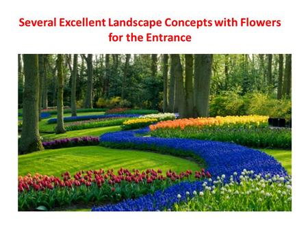 Several Excellent Landscape Concepts with Flowers for the Entrance.