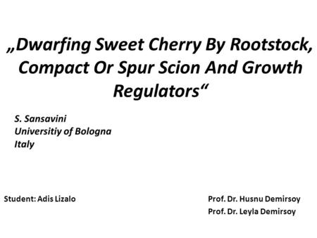 „Dwarfing Sweet Cherry By Rootstock, Compact Or Spur Scion And Growth Regulators“ Student: Adis Lizalo Prof. Dr. Husnu Demirsoy Prof. Dr. Leyla Demirsoy.