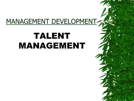 MANAGEMENT DEVELOPMENT TALENT MANAGEMENT. What is Talent Management?  It is a process of managing aptitude, abilities & skills of a person or an employee.