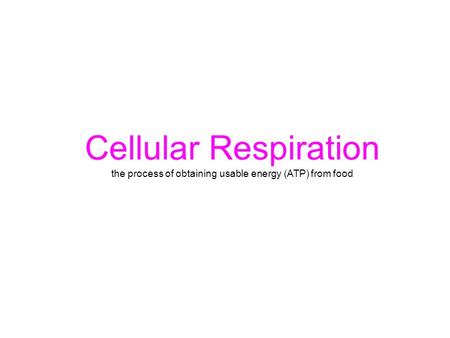 Cellular Respiration the process of obtaining usable energy (ATP) from food.