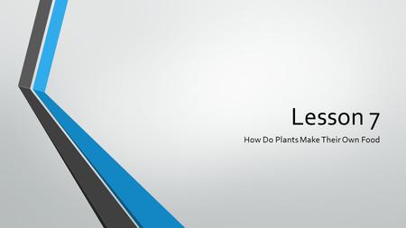 Lesson 7 How Do Plants Make Their Own Food. Brainstorm What is our evidence that plants do not get their food from the soil? If plants do not get their.