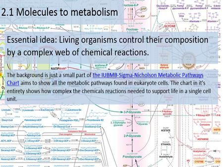 Read Chapter 5!!!! Look at your Chapter 5 Reading Guide Look at your macromolecule matrix Practice drawing molecules.