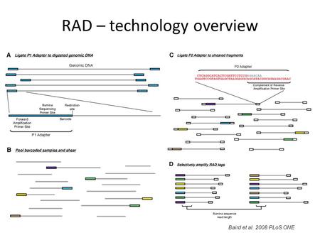 RAD – technology overview Baird et al PLoS ONE.