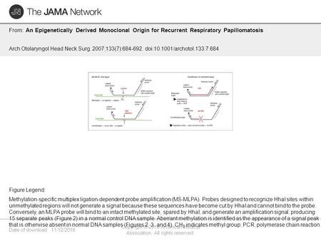 Date of download: 11/12/2016 Copyright © 2016 American Medical Association. All rights reserved. From: An Epigenetically Derived Monoclonal Origin for.