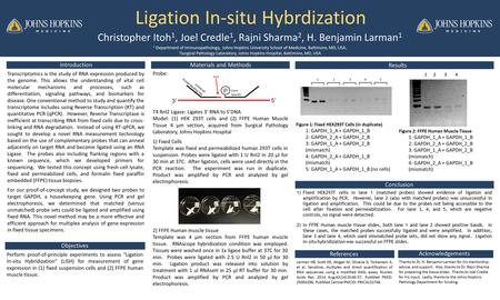 Ligation In-situ Hybrdization Christopher Itoh 1, Joel Credle 1, Rajni Sharma 2, H. Benjamin Larman 1 1 Department of Immunopathology, Johns Hopkins University.