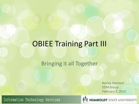 OBIEE Training Part III Bringing it all Together Ronda Stemach EDM Group February 5, 2013.