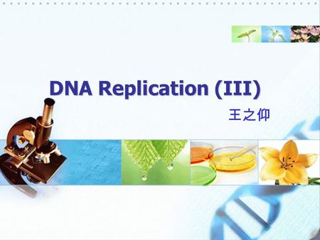 DNA Replication (III) 王之仰.  Two replication forks might assemble at a single origin and then move in opposite directions, leading to bidirectional growth.