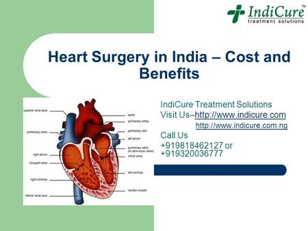 Heart Surgery in India – Cost and Benefits IndiCure Treatment Solutions Visit Us–http://www.indicure.comhttp://www.indicure.com