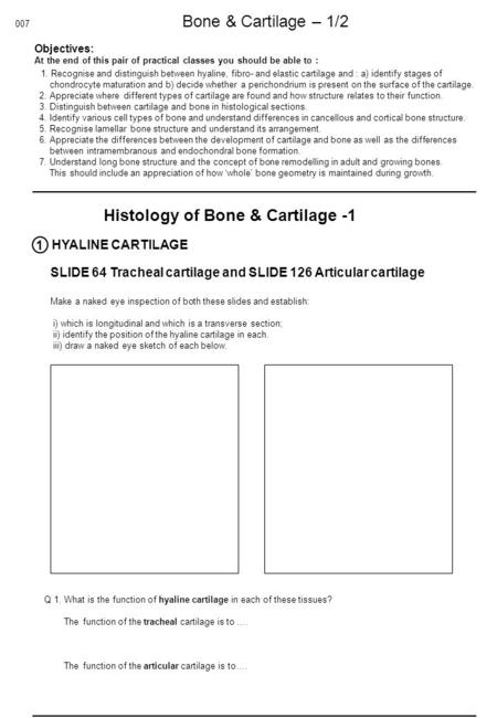 Objectives: At the end of this pair of practical classes you should be able to : 1. Recognise and distinguish between hyaline, fibro- and elastic cartilage.