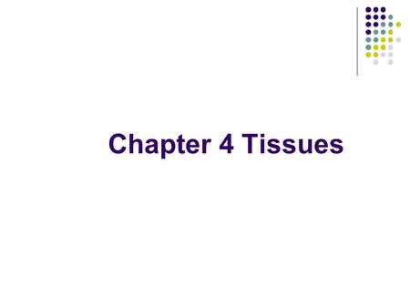 Chapter 4 Tissues. Tissue Groups of cells that are similar in structure and perform a common or related function.