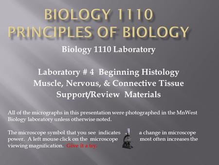 Biology 1110 Laboratory Laboratory # 4 Beginning Histology Muscle, Nervous, & Connective Tissue Support/Review Materials All of the micrographs in this.